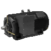Medium voltage motors