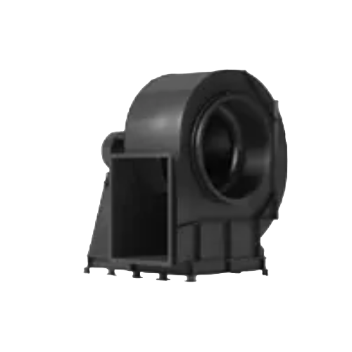 Fans Large Type Series