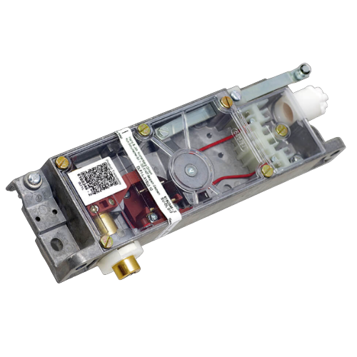 DL(F)1