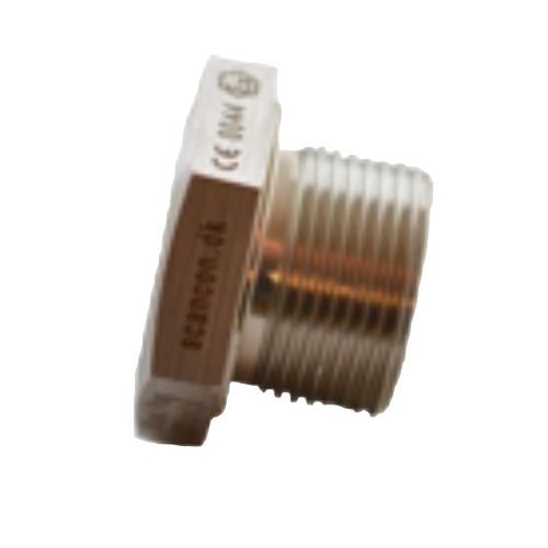 Blind Plug M25
