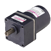 Reversible  motors