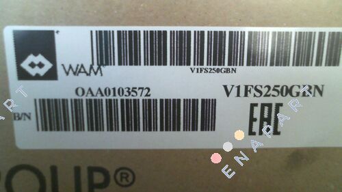 V1FS250GBN supapa de accelerație